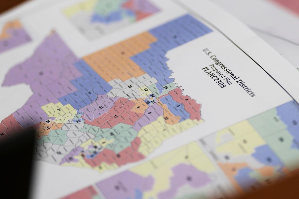 Texas Legislature Redistricting (copy)