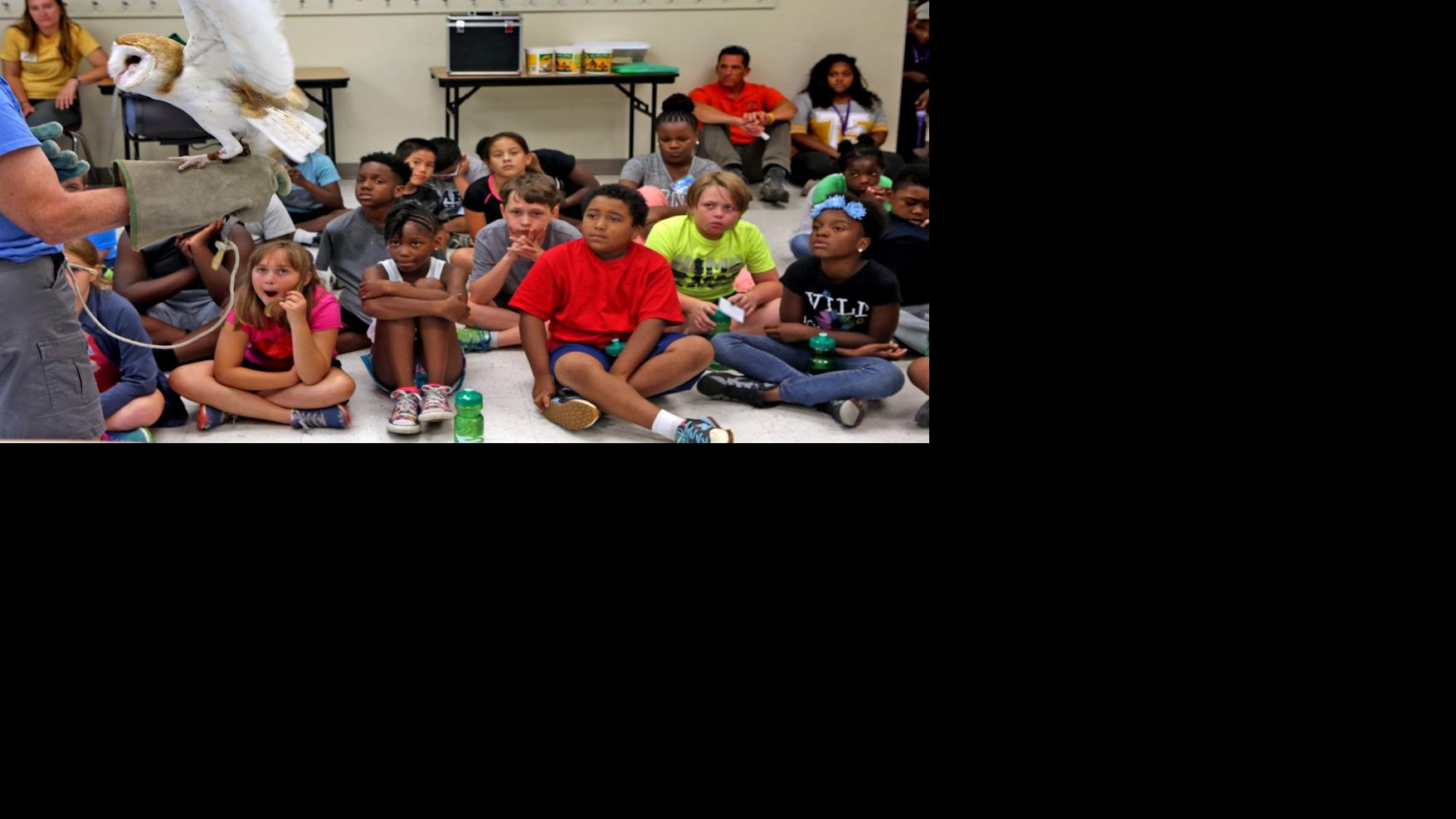 Yep It S Time To Think Summer Hundreds Of Camps Available In St Louis Area News Stltoday Com