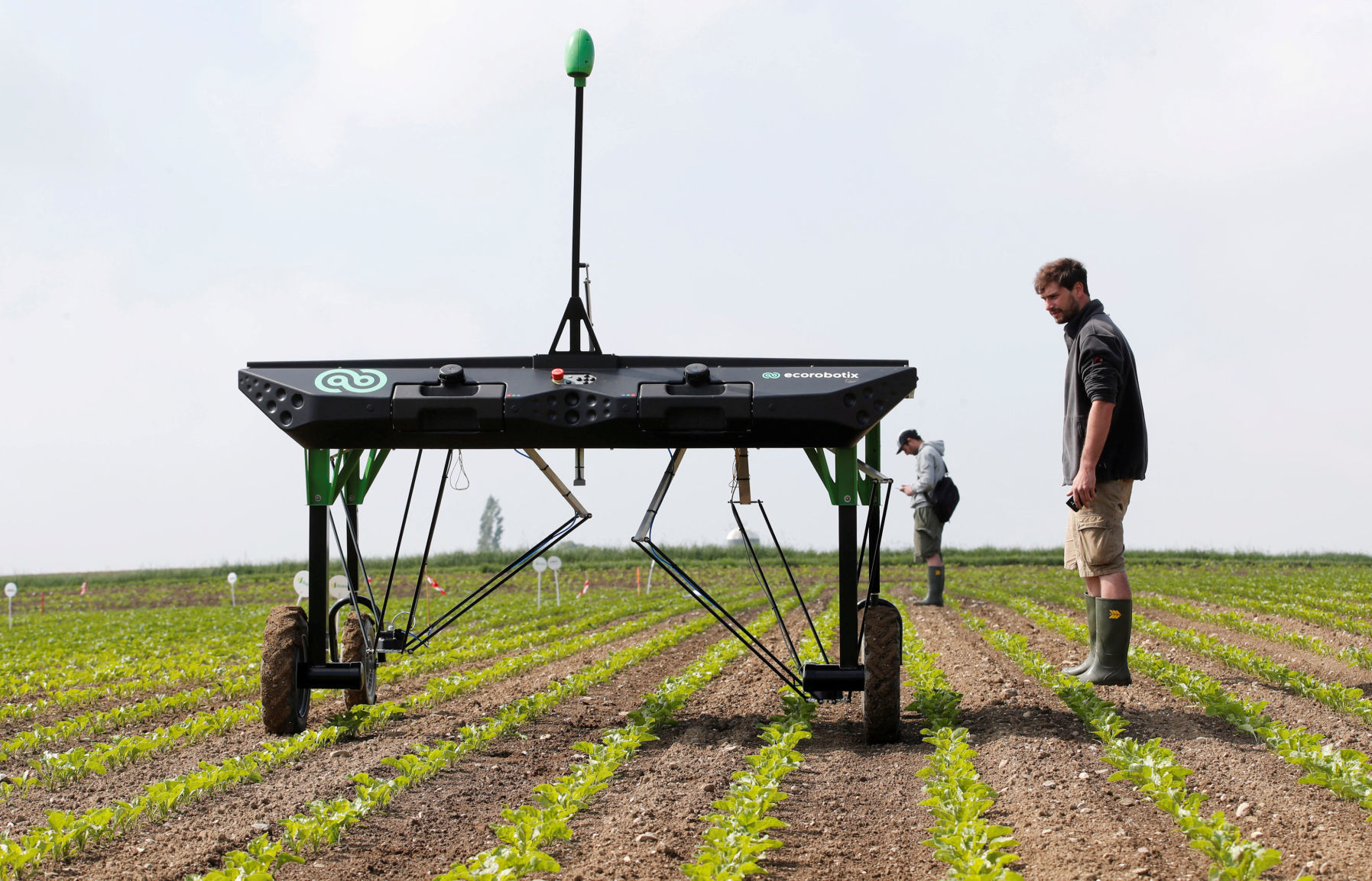 Robot Weed Killers Poised To Disrupt U.S. Agriculture | Local Business ...