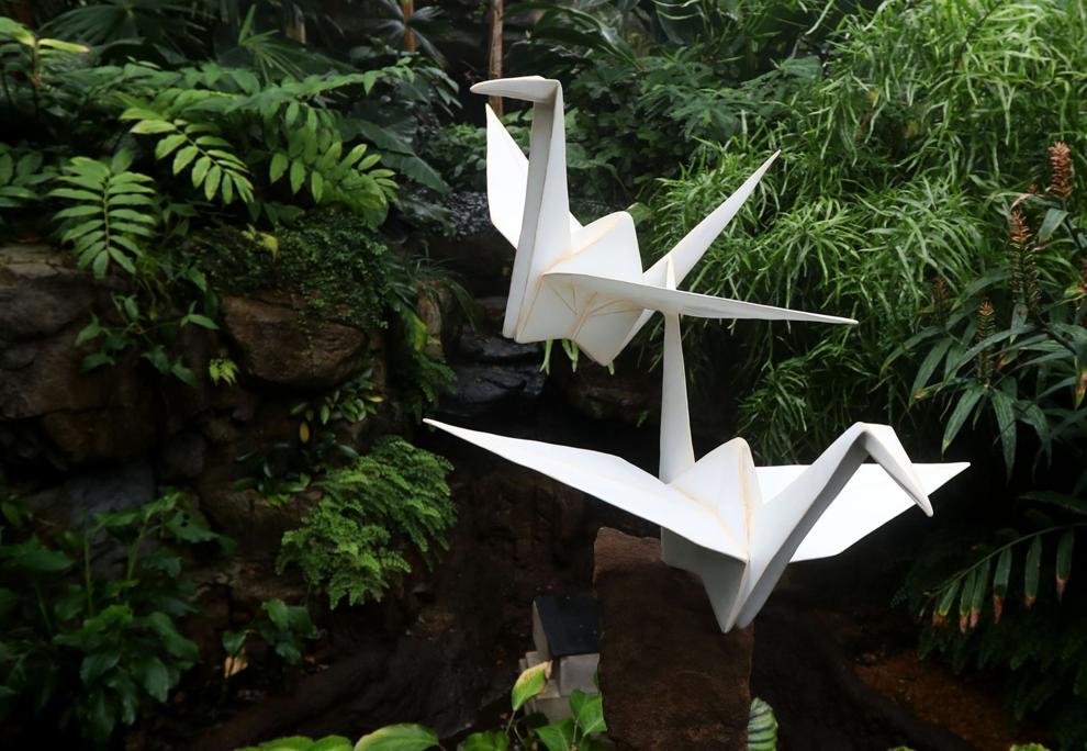 Photos Giant origami sculptures take shape at Missouri Botanical Garden Pictures