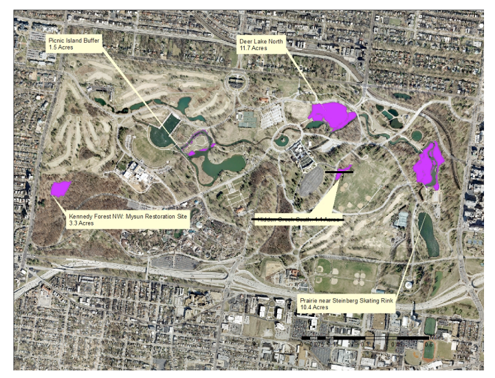 Printable Map Of Forest Park St Louis Literacy Basics