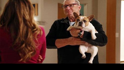 Modern Family Has Stltoday Com