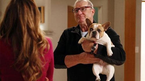 Modern Family Has Stltoday Com Modern Family Has Stltoday Com
