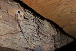 1816 Joseph Sappington Log House