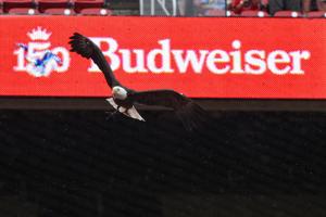 MLB: Kansas City Royals at St. Louis Cardinals
