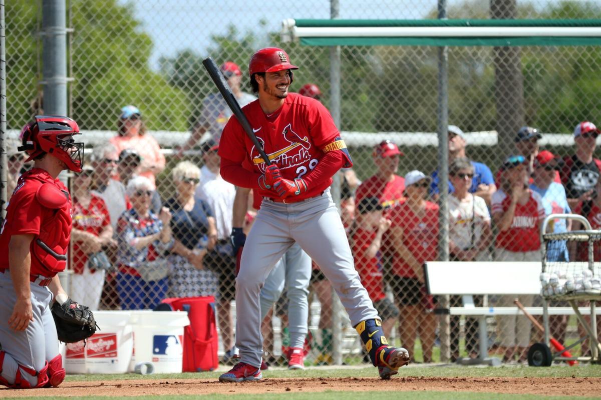 Photos: St. Louis Cardinal start day 6 of team workouts in Jupiter