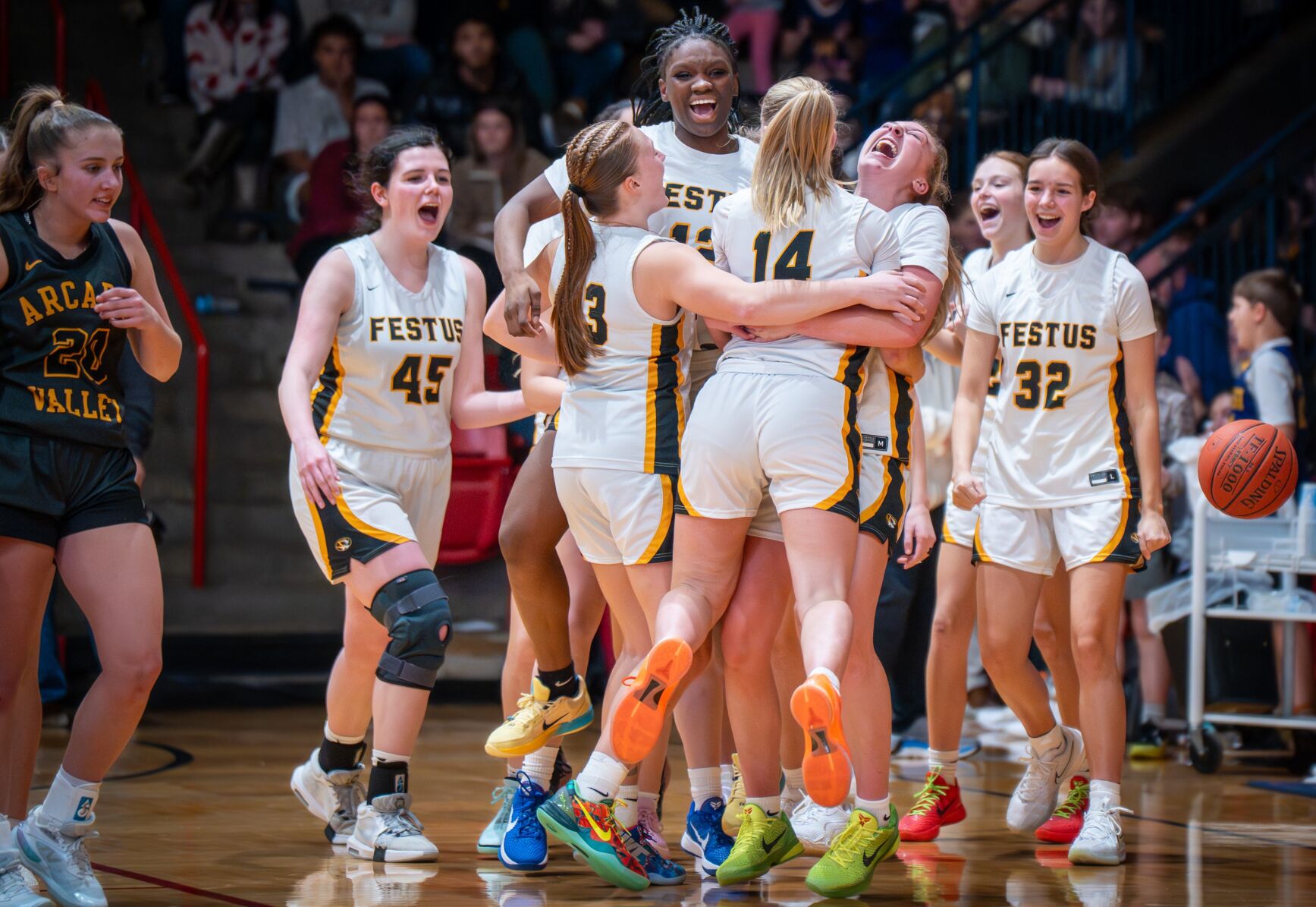 stltoday.com - Steve Overbey | Post-Dispatch - Daily double: Festus girls, boys basketball teams sweep titles at Park Hills Central