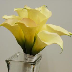 015_Walter Knoll Florist