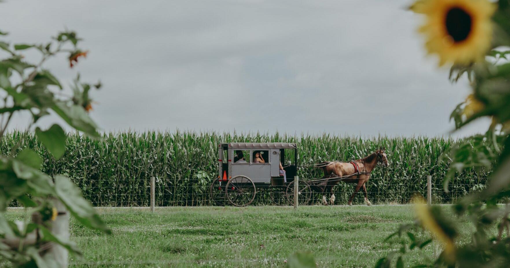 Lancaster, Pa.: Explore Amish communities and much more - Vimarsana News