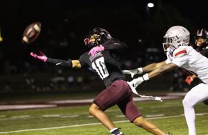 Cardinal Ritter vs. Lift for Life