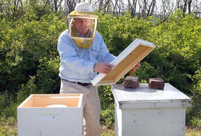 Monsanto hopes to win over beekeepers with cure