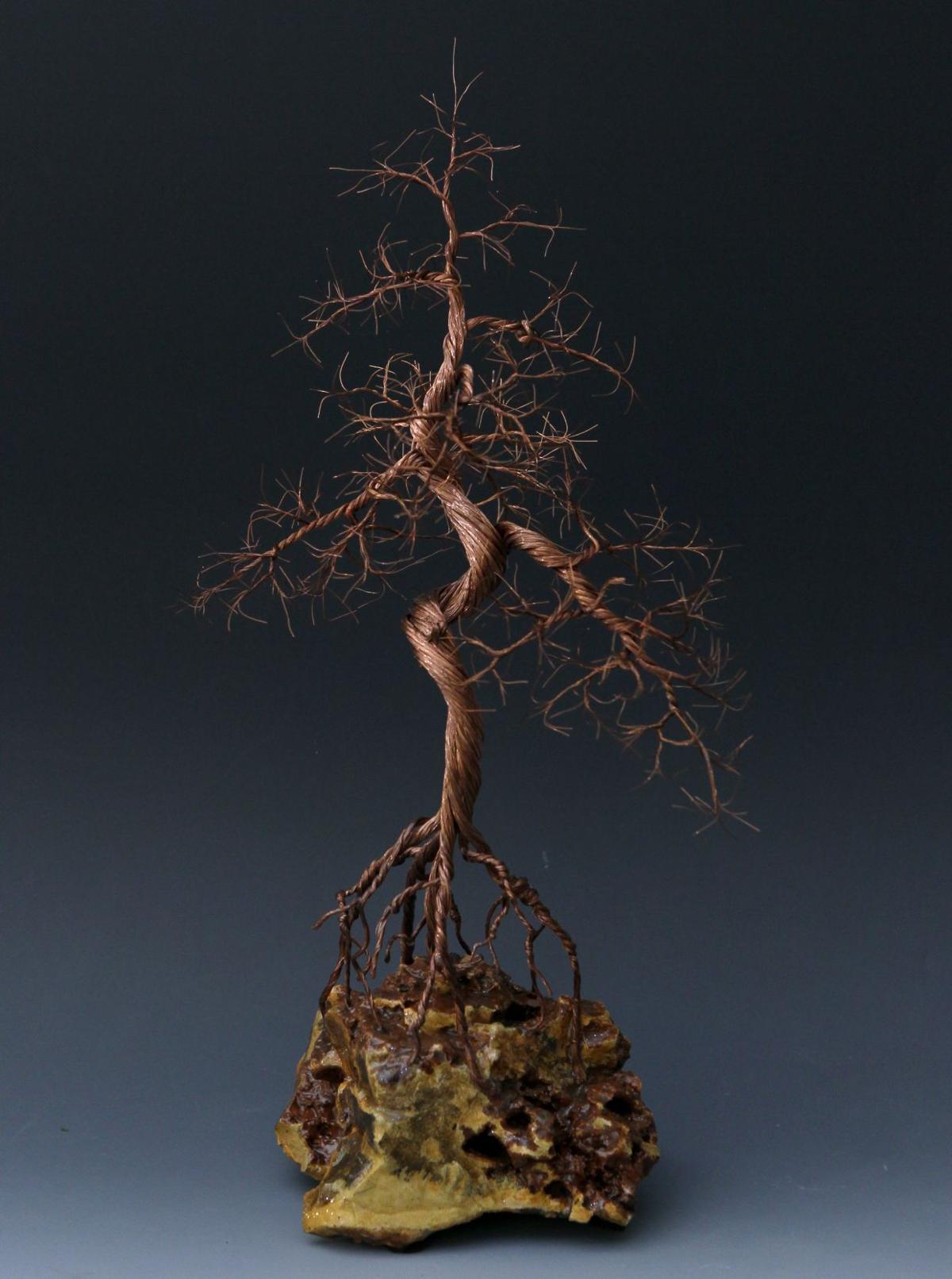 Artist S Wire Trees Free The Mind Shape The Future Metro Stltoday Com