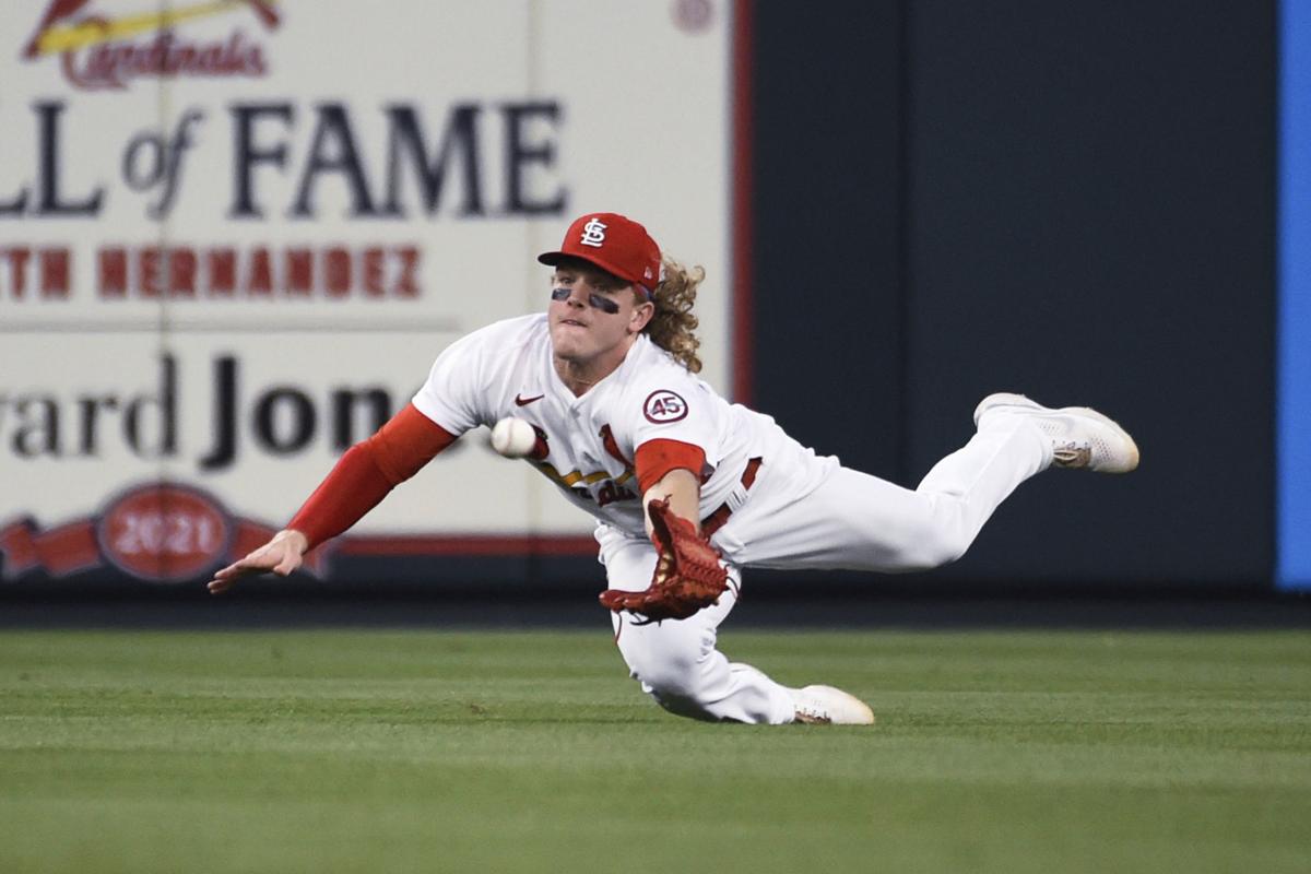 Autographed St. Louis Cardinals Tyler O'Neill 8 x 10 Diving Catch