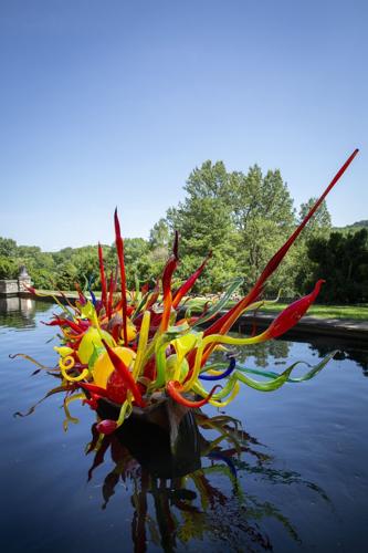 Glass artist Chihuly will bring 'most ambitious' exhibition to Missouri  Botanical Garden