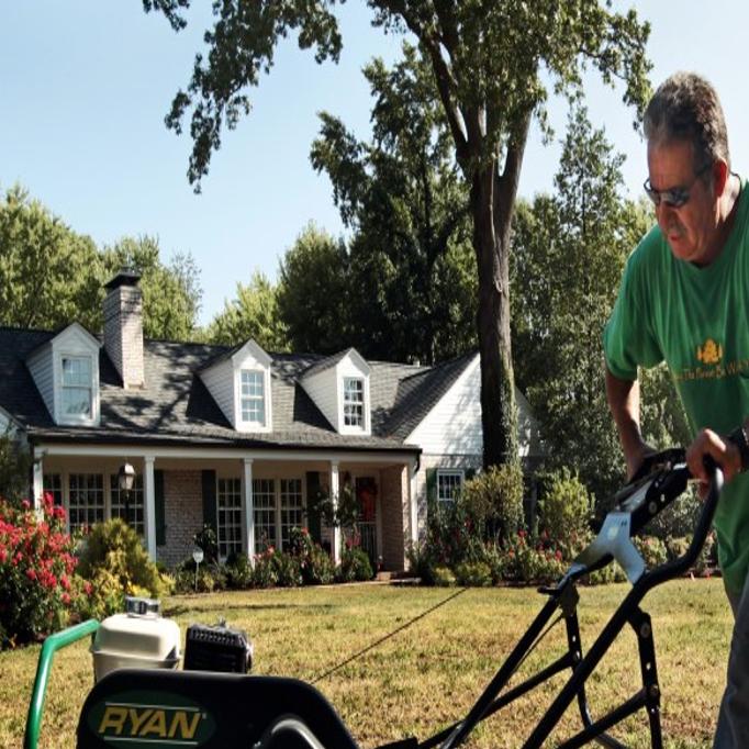 Fescue 911 I Think My Grass Is Dead Home Garden Stltoday Com