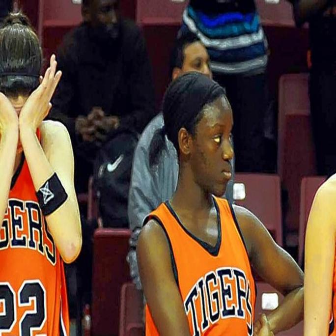 Edwardsville Falls To Powerhouse Whitney Young In 4a Title Game
