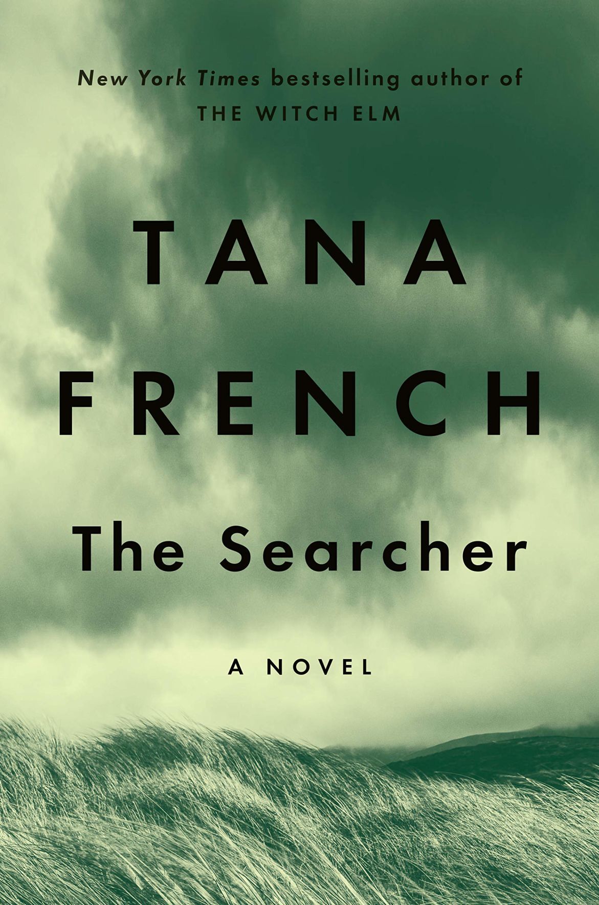 the searcher by tana french review