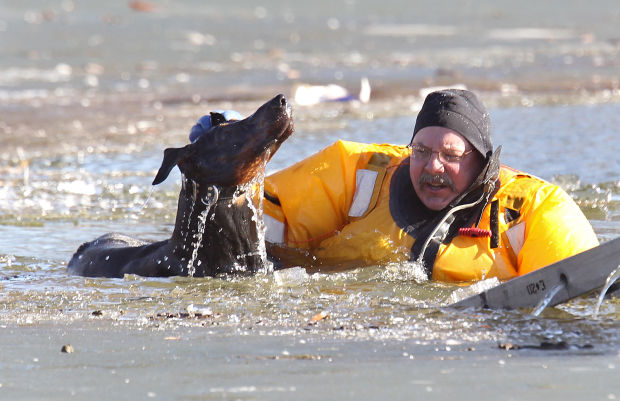 Fire Dept. Rescues dog from lake in O'Fallon Park