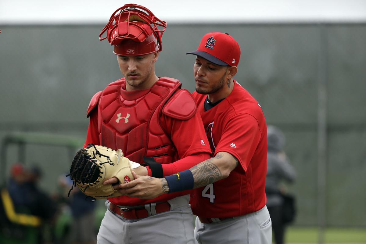St. Louis Cardinals catcher Andrew Knizner is seen during spring