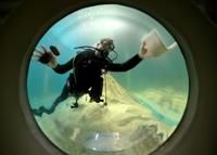 St. Louis Aquarium preps for grand opening