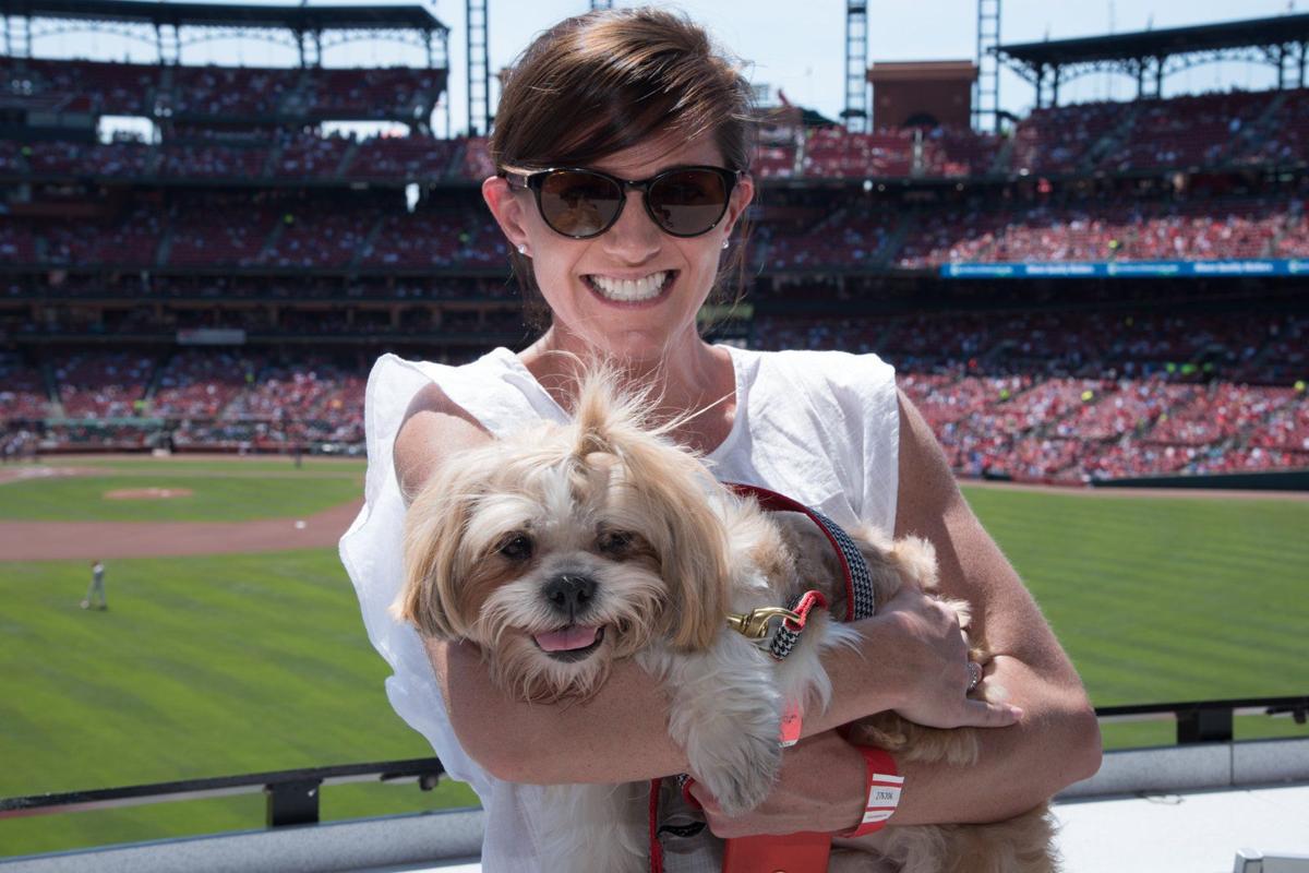 Purina Pooches in the Ballpark returns