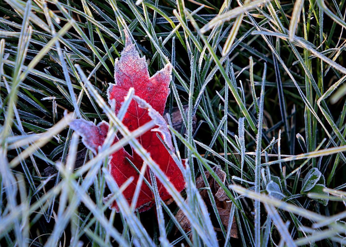 Frosty morning in St. Louis