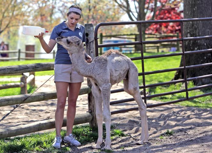 Grant Farm's opens for 62nd season