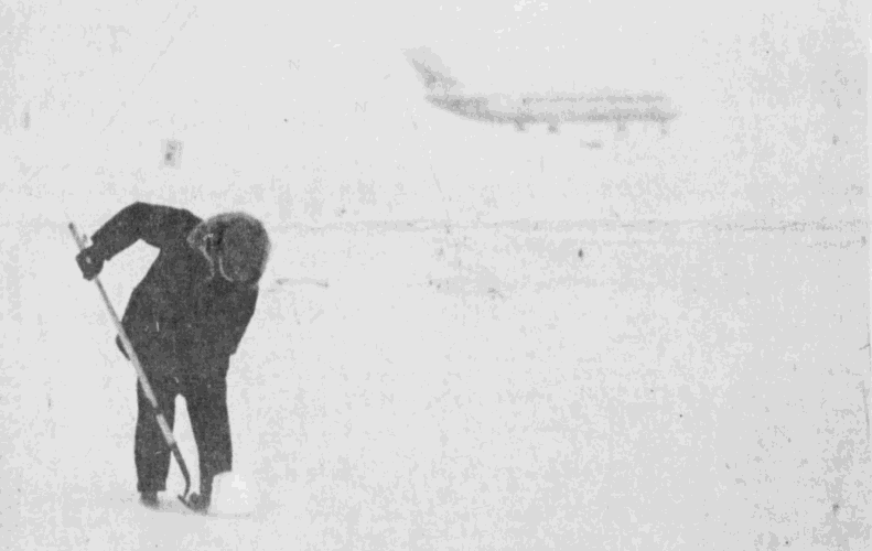 1978 snow