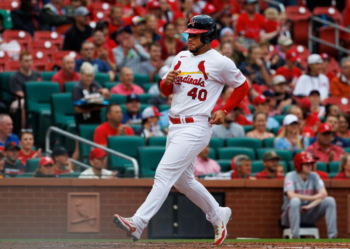 We have to be perfect to win': Cardinals are out of the race until they  outrun their mistakes