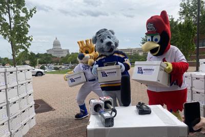 Mascots and petitions