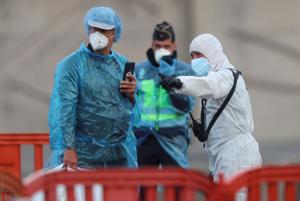 COVID-19, pandemic trauma and why the hantavirus anxiety is hitting us so hard