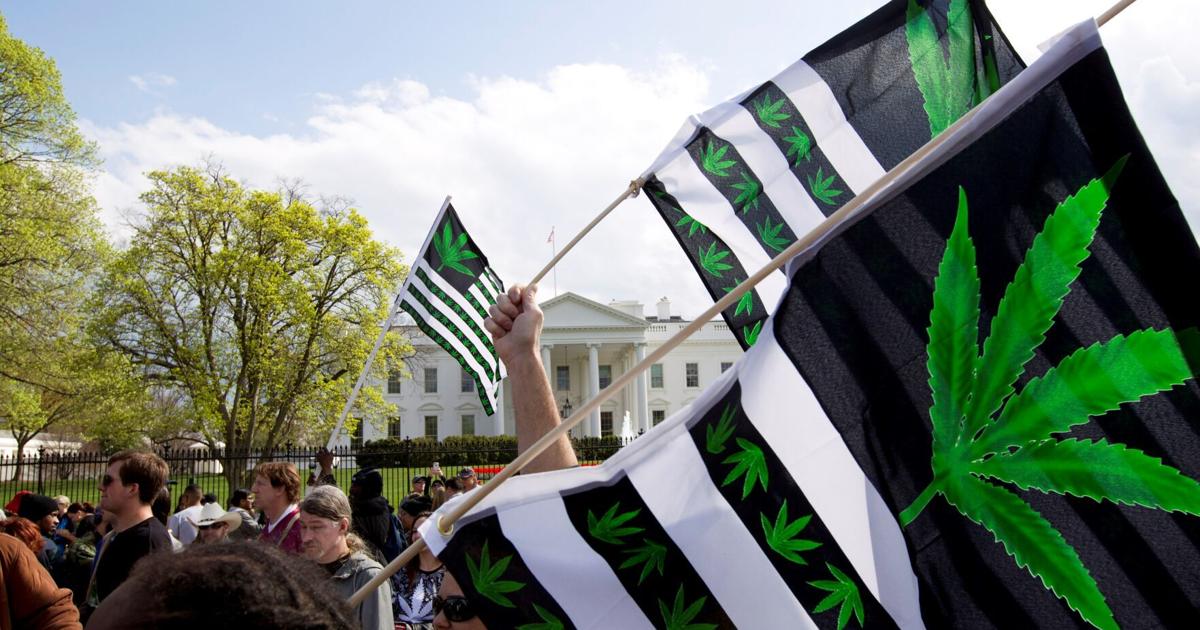 Missouri among five states deciding whether to legalize marijuana