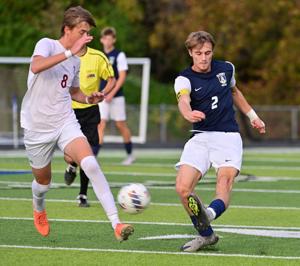 Althoff vs Gibault