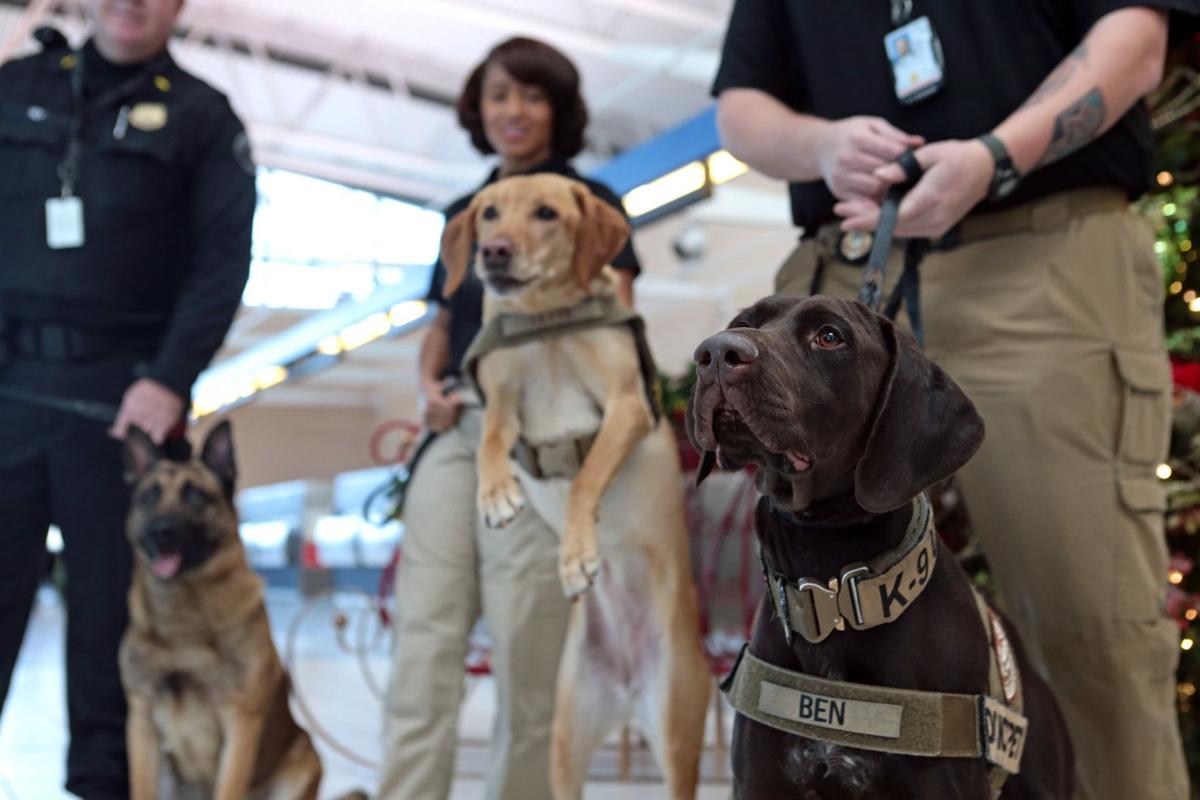Creve Coeur planning to add bomb-sniffing dog to police department | Law and order | 0