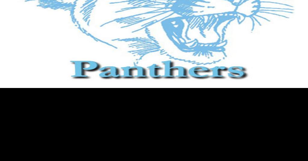 Jerseyville panthers logo
