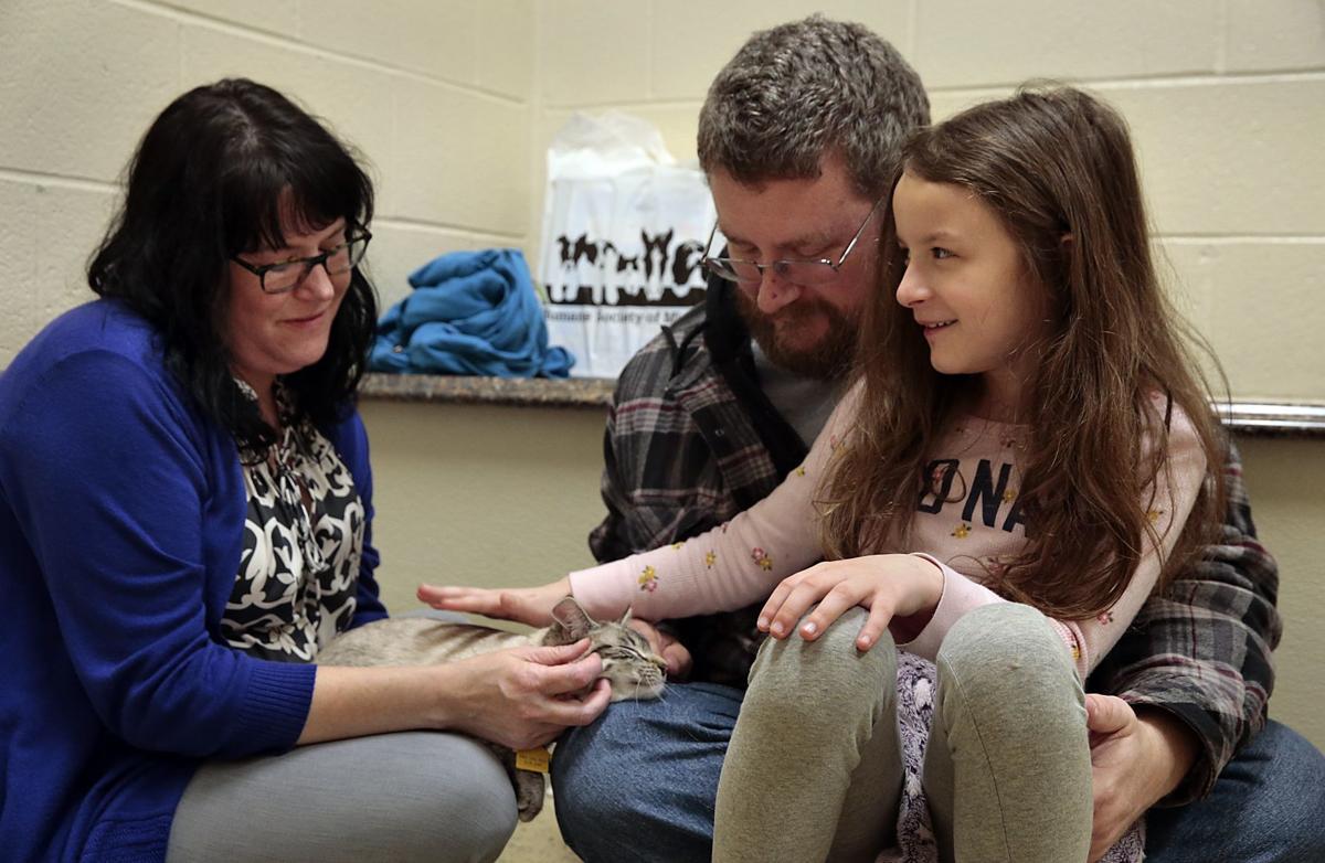 St Louis Area Pet Shelters Cut Back On Visitors But See Uptick In Fostering Pets Stltoday Com St Louis Area Pet Shelters Cut Back On Visitors But See Uptick In Fostering Pets Stltoday Com