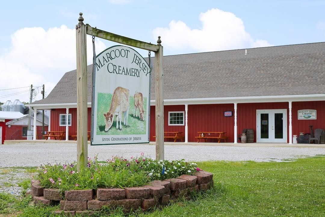 Marcoot Jersey Creamery