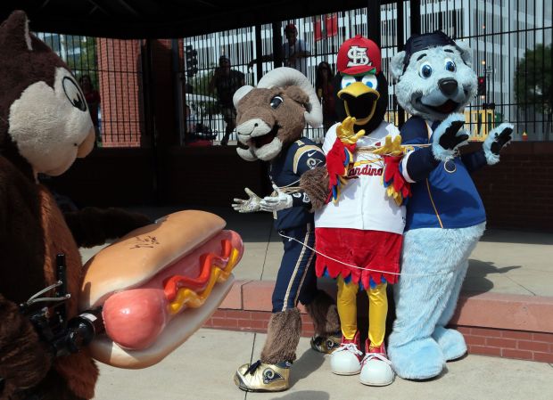 Taking Your Blood Pressure at Home with the St. Louis Blues Mascot