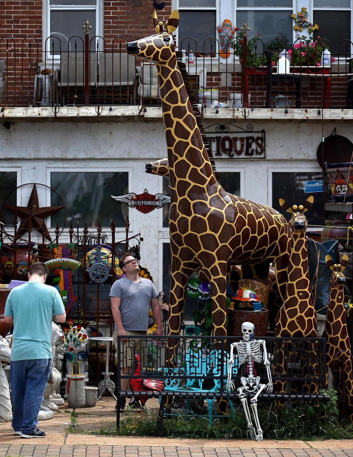 Photos Gringo Jones Imports to remain open