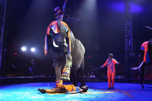 UniverSoul Circus in St. Louis | Entertainment | stltoday.com