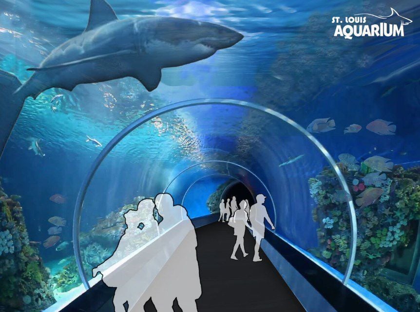 Aquarium planned for Union Station in downtown St. Louis ...