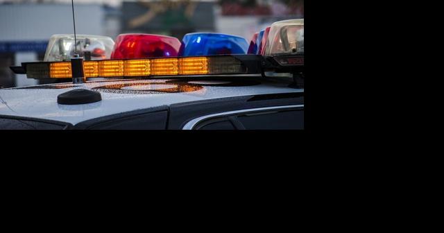 Man near Springfield, Ill., killed 3 people, wounded another before killing self, authorities say - Vimarsana News