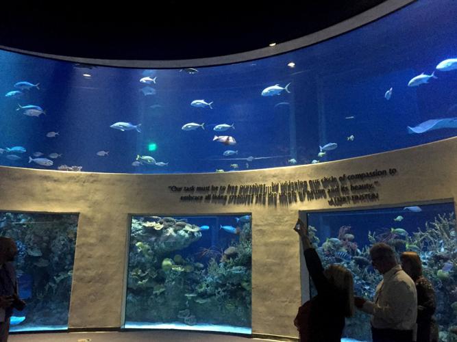 Massive wildlife museum and aquarium opens in Springfield, Mo.