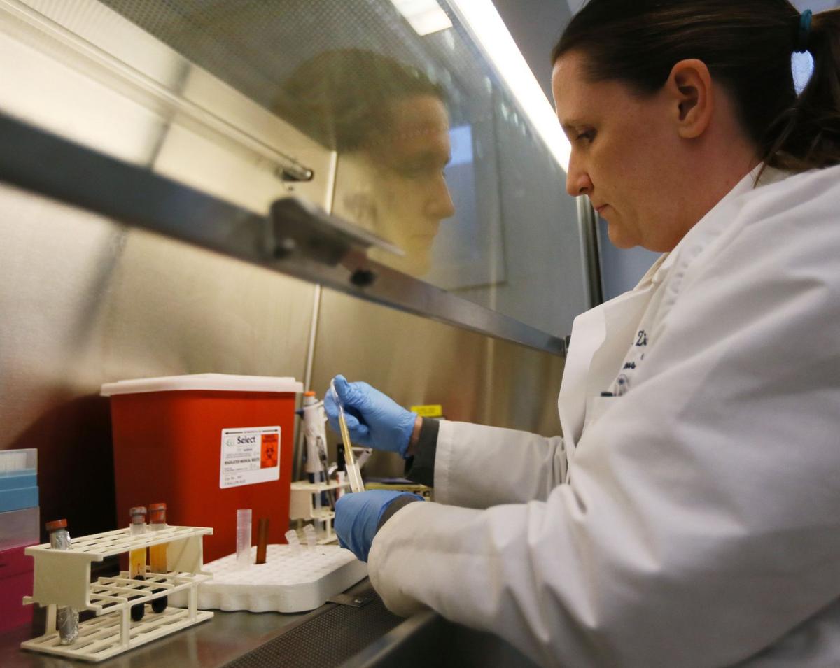 Zika virus vaccine