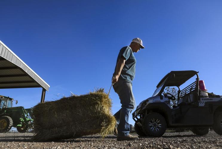 Trump fervor runs high in Liberal, Missouri