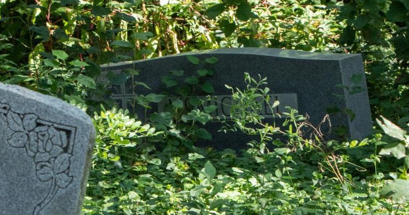 Man charged with digging up grandmother’s grave in Berkeley, but ...