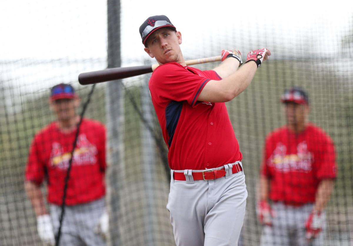 Cardinals spring training