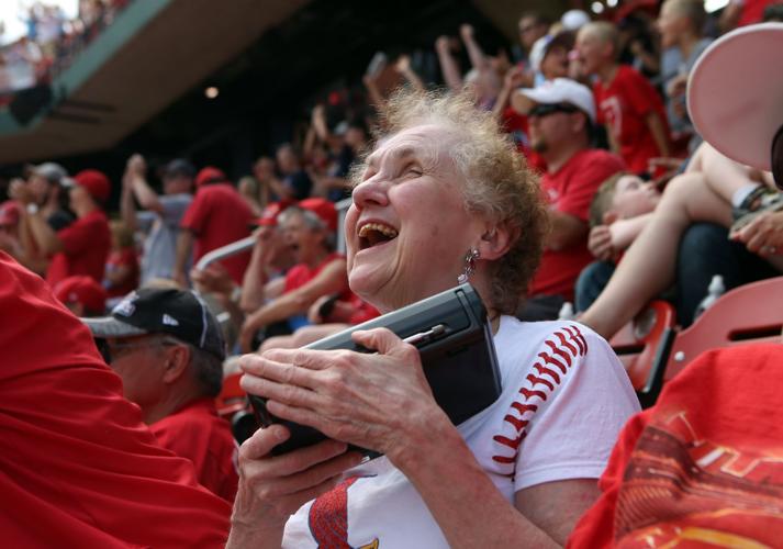I'm a grandma and a St Louis Cardinals fan which means I'm pretty