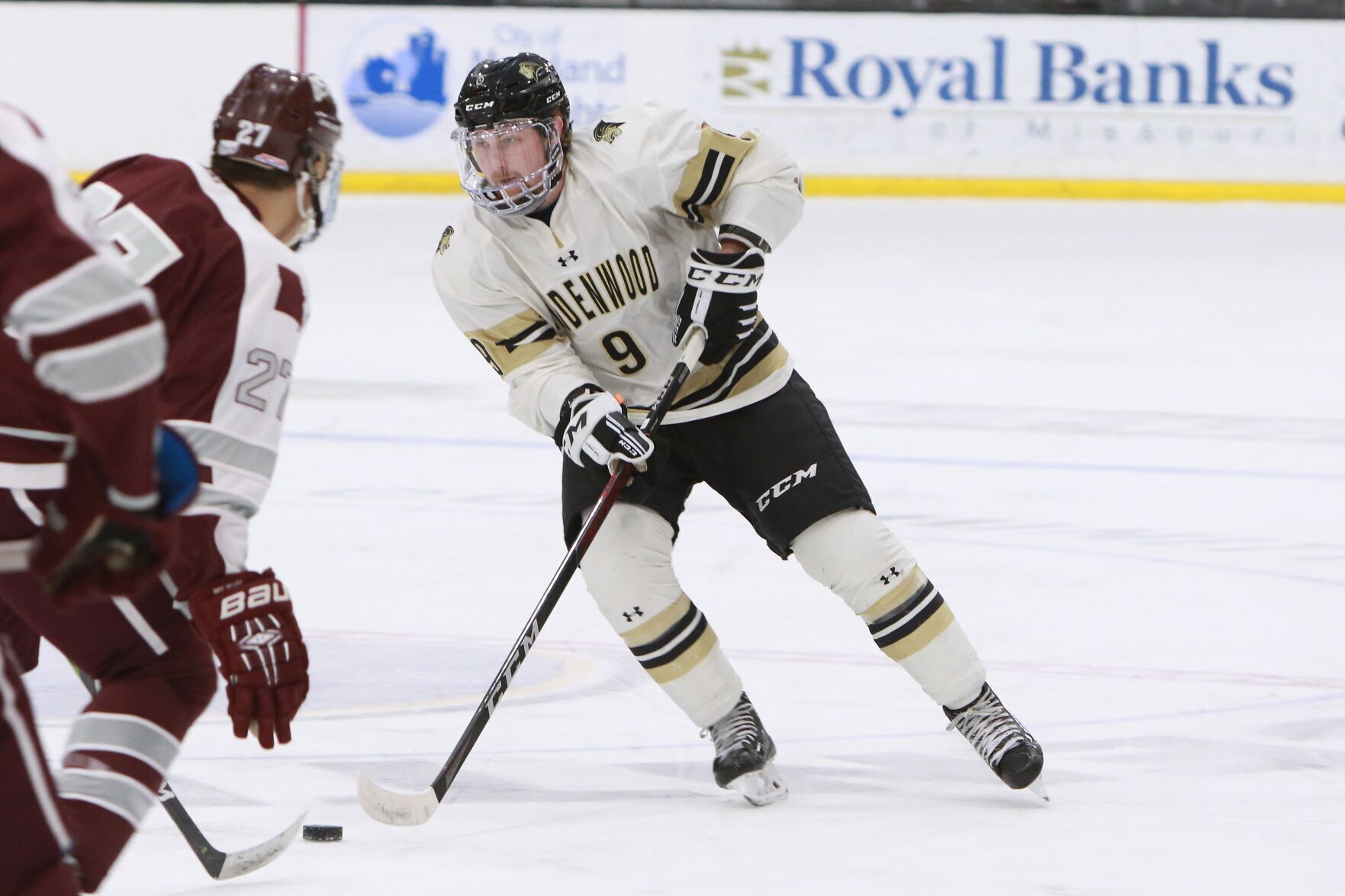 Lindenwood mens hockey ready for challenge of NCAA Division I