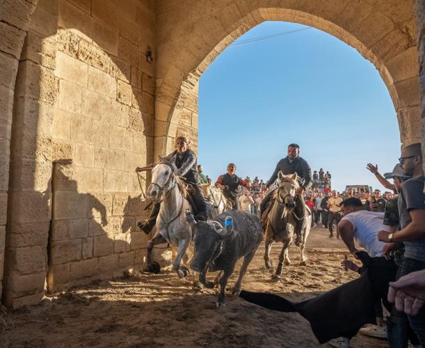 First Place -- Running the Bulls in the Camargue